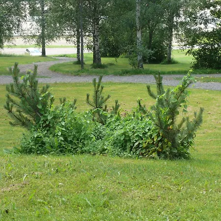 Domusvirrat 3* Virrat