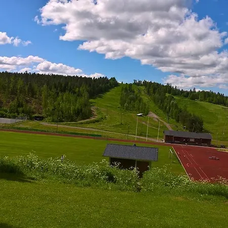 Hotell Domusvirrat 3*